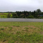 Terreno para venda em Vila Oliveira de 10.00m²