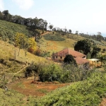 Fazenda / Sítio para venda em Varjão de 459800.00m² com 4 Quartos e 2 Garagens