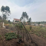 Terreno para venda em Água Espraiada de 8138.00m²