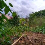 Terreno para venda em Sousas de 557.39m²