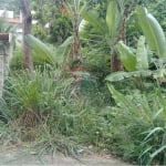 Terreno para venda em Guaratiba de 330.60m²