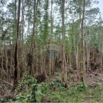 Terreno para venda em Taiaçupeba de 193000.00m²