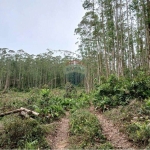 Terreno para venda em Taiaçupeba de 84000.00m²