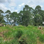 Terreno en Condomínio para venda em Paysage Bella Vittá de 500.00m²