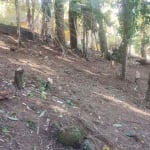 Terreno para venda em Sertão Da Quina de 1259.00m²