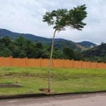 Terreno para venda em Chácara Terra Nova de 700.00m²