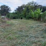 Terreno para venda em Folha Seca de 317.00m²