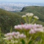 Casa para venda em Loteamento Serra Dos Cristais de 138.00m² com 3 Quartos, 1 Suite e 2 Garagens