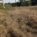 Terreno para venda em Cidade Industrial de 15500.00m²