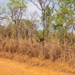 Terreno para venda em Parque Alvorada Ii de 5625.00m²