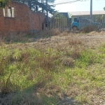 Terreno para venda em Cachoeira de 316.00m²