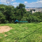 Terreno para venda em VILA RIO BRANCO de 259.00m²