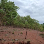 Área rural 58.20 hectares - Chapéu do Sol - codigo: 89701