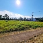 Terreno à venda na Rua Maria Olinda Telles, Lote 1 C1, Canudos, Novo Hamburgo