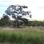 Lote à venda em rua pública, CAUEIRA, Itaporanga d'Ajuda, SE
