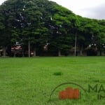 Terreno à venda na Avenida Guedner, 1664, Zona 08, Maringá