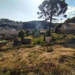 Terreno à venda na Rua Espírito Santo, 1, Der, Caçador