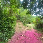 Área na Ilha de Guaratiba, estrada do Morgado- 30 minutos do Recreio