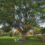 Terreno em condomínio fechado à venda na Rua Alfredo Gomes Júlio, 130, Parque Xangrilá, Campinas