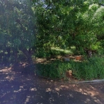 Terreno no bairro Pinheiros