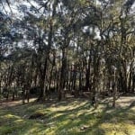 Terreno à venda, 952 m² por R$ 750.000 - Bosque Sinoserra - Canela/RS