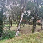 Terreno à venda, 707 m² por R$ 1.800.000,00 - Centro - Canela/RS