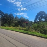 Terrenos à venda na Vila Boeira em Canela!