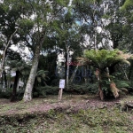 Terreno Exclusivo no Condomínio O Bosque – Gramado/RS!