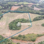 Área à venda, 72600 m² por R$ 2.320.000,00 - Jardim Cecilia - Campo Magro/PR