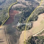 Terreno à venda, 209000 m² por R$ 1.500.000,00 - Ouro Fino de Baixo - Campo Magro/PR