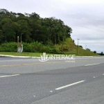 Terreno à venda, 121000 m² por R$ 20.000.000,00 - Alexandra - Paranaguá/PR