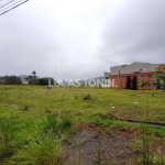 Terreno em Loteamento Jardim Veneza Rio Pequeno Camboriú