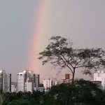 Cobertura para Venda em Santo André, Paraíso, 3 dormitórios, 1 suíte, 2 banheiros, 1 vaga