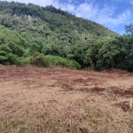 Área de terra à venda em Picada Café na Serra Gaúcha