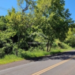 Área de terra às margens da BR 116 em Picada Café na Serra Gaúcha