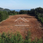 Área de terras plana à venda no interior de Linha Nova, na Serra Gaúcha