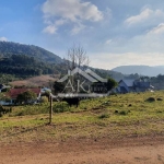 Terreno em declive e arborizado a venda em Picada Café, na Serra Gaúcha