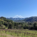 Terreno com linda vista a venda em Picada Café na Serra Gaúcha