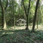 Terreno arborizado, margeado por Rio, a venda em Picada Café, na Serra Gaúcha