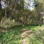 Terreno à venda na das Gralhas, 209, Vargem Grande, Florianópolis