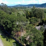 Terreno à venda na Rodovia Armando Calil Bulos, 177, Ingleses do Rio Vermelho, Florianópolis