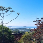 Terreno comercial à venda na Renato Ramos da Silva, 01, Vila Nova, Imbituba