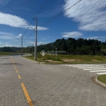 Terreno à venda na José João De Souza, 1, Campo Duna, Garopaba