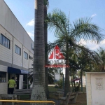 Galpão para alugar, 2700 m² por R$ 53.700/mês - Iporanga - Sorocaba/SP