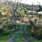 Sítio para Venda em Cachoeiras de Macacu, Japuíba, 2 dormitórios, 1 banheiro, 1 vaga