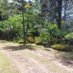 Sítio para Venda em Cachoeiras de Macacu, Papucaia, 3 dormitórios, 5 suítes, 2 banheiros, 1 vaga