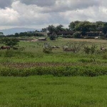 Sítio para Venda em Itaboraí, Itapacorá, 2 dormitórios, 1 banheiro, 1 vaga