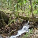 Terreno para Venda em Cachoeiras de Macacu, Guapiaçu