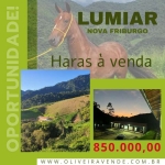 Haras para Venda em Nova Friburgo, Boa Esperança de Cima, 1 dormitório