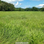 Sítio para Venda em Cachoeiras de Macacu, Papucaia, 3 dormitórios, 1 suíte, 2 banheiros, 4 vagas